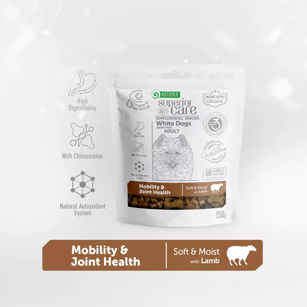 Friandises Mobilité.webp