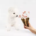 VxBJi6TV9FjXHPg1NZkj.webp