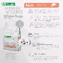 saumon.webp